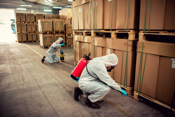 Best Best Pest Control Companies  in Rochester Hills, MI