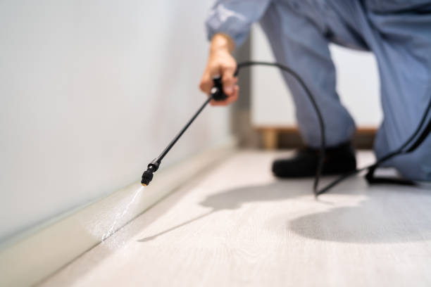 Flea Control Services in Rochester Hills, MI