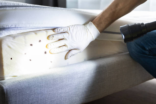 Trusted Rochester Hills, MI Pest Control Experts