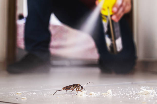 Best Pest Control Near Me  in Rochester Hills, MI
