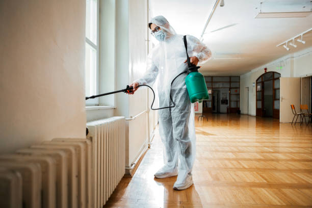 Best Affordable Pest Control Services  in Rochester Hills, MI