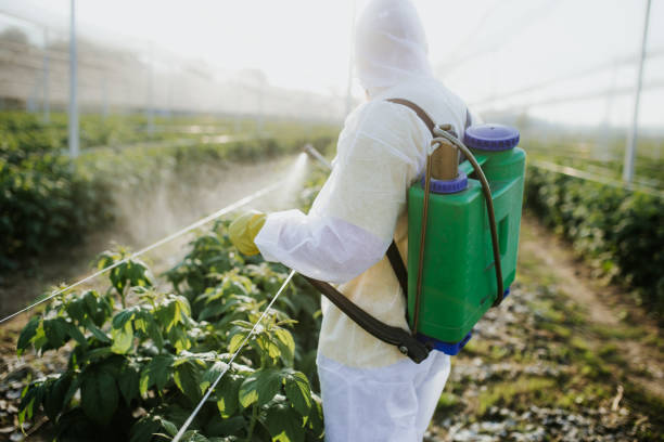 Best Ant Control Services  in Rochester Hills, MI